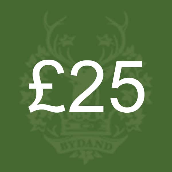 £25 Donation