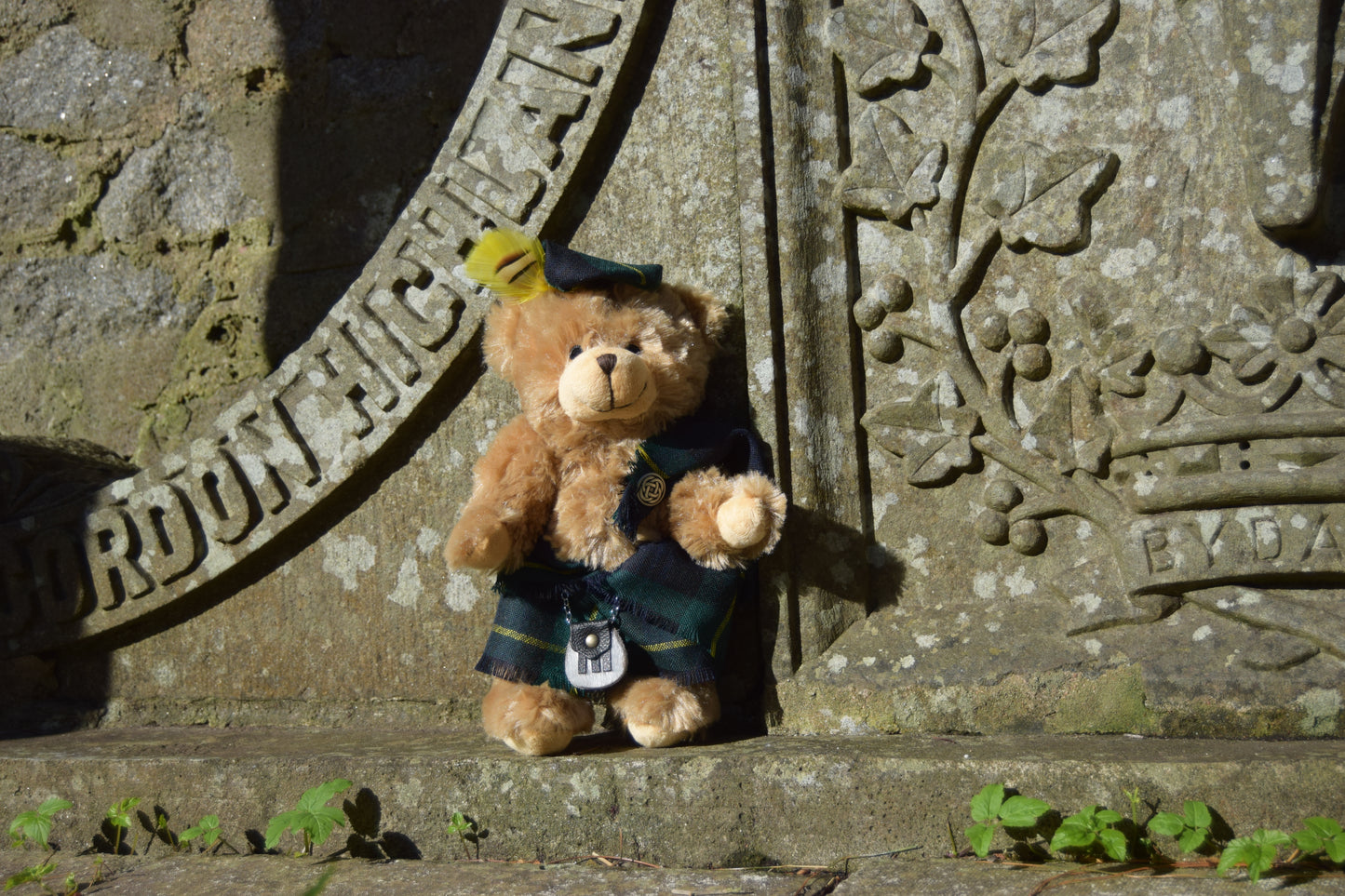 Gordon Bear