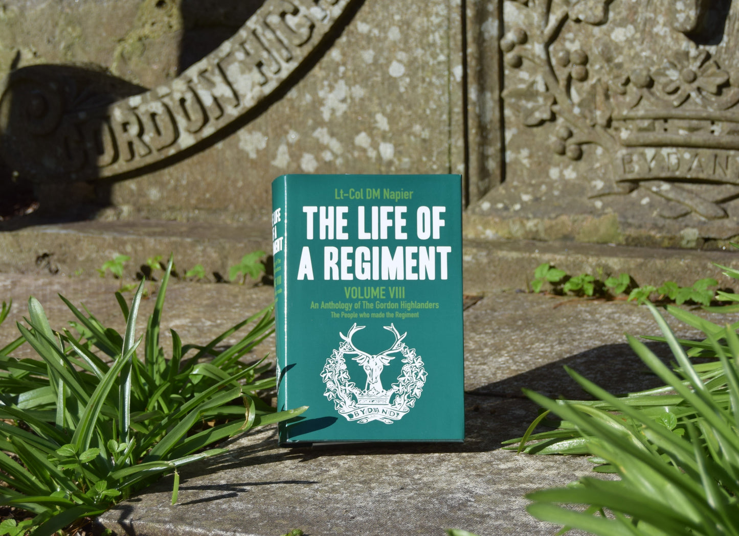 Life of a Regiment Vol. VIII Hardback